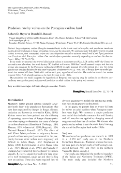 Predation rate by wolves on the Porcupine caribou herd