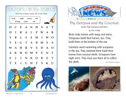 Octopus Word Search