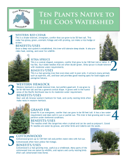 10 native plants - Coos Watershed Association