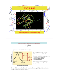 Enzyme Kin - Instructure