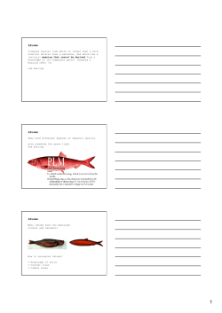 Idioms Idioms Idioms