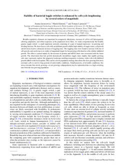 Stability of bacterial toggle switches is enhanced by cell