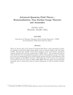 Advanced Quantum Field Theory : Renormalization, Non