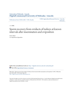 Sperm recovery from oviducts of turkeys at known intervals after