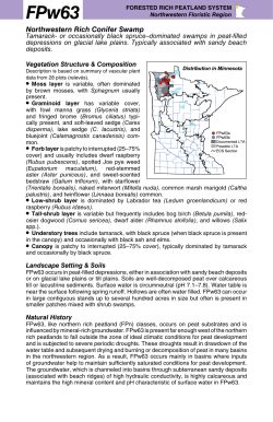 FPw63 Northwestern Rich Conifer Swamp factsheet
