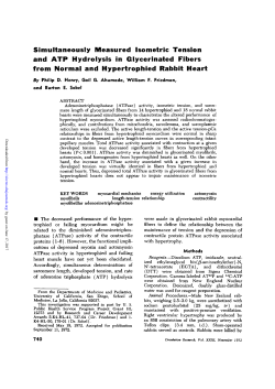 Simultaneously Measured Isometric Tension and ATP Hydrolysis in