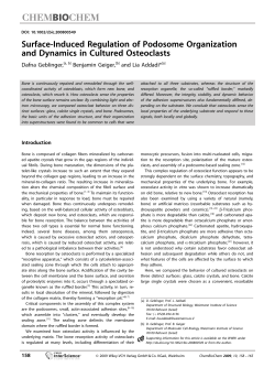 Surface-Induced Regulation of Podosome Organization and