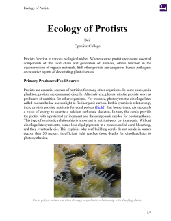 Ecology of Protists