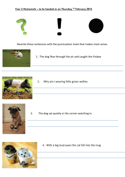 Rewrite these sentences with the punctuation mark that makes most