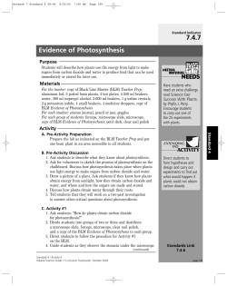 Evidence of Photosynthesis