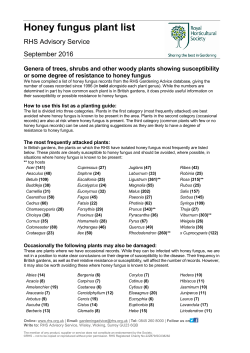 Honey fungus resistant plant list (RHS Advisory Service)