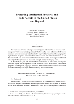 Protecting Intellectual Property and Trade Secrets in the United