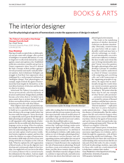 The interior designer