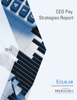 CEO Pay Strategies Report