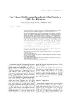 First evidence of sex chromosome pre-reduction in male