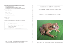 a biogeographic synthesis of the amphibians and reptiles of