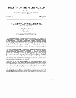 BULLETIN OF THE ALLYN MUSEUM