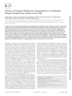 Absence of Frequent Herpesvirus Transmission in a Nonhuman