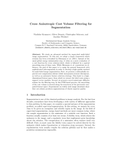 Cross Anisotropic Cost Volume Filtering for Segmentation