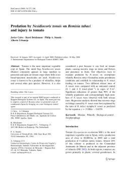 Predation by Nesidiocoris tenuis on Bemisia tabaci and injury to