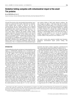Oxidative folding competes with mitochondrial import of the small