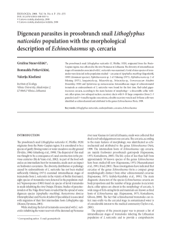 Digenean parasites in prosobranch snail Lithoglyphus naticoides