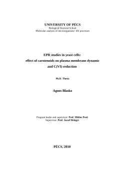 UNIVERSITY OF P&Eacute;CS