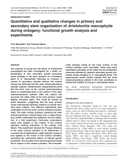 Quantitative and qualitative changes in primary and secondary stem