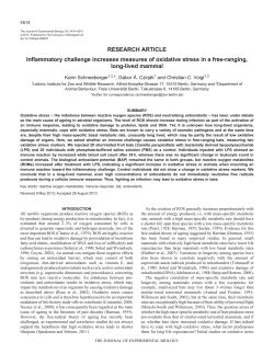 Inflammatory challenge increases measures of oxidative stress in a