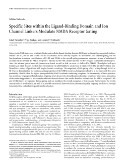 Specific Sites within the Ligand-Binding Domain and Ion Channel