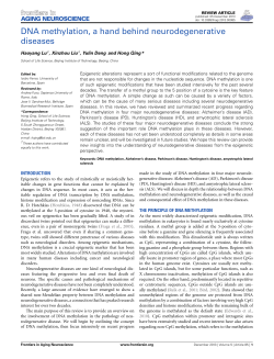 DNA methylation, a hand behind neurodegenerative diseases