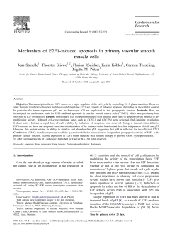 M echanism of E2F1-induced apoptosis in primary vascular smooth