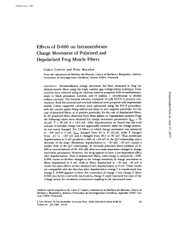 Effects of D-600 on Intramembrane Charge Movement of Polarized