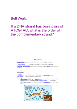 If a DNA strand has base pairs of ATCGTAC, what is the order of the