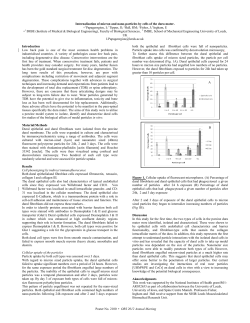 Internalisation of micron and nano-particles by cells of the dura mater.