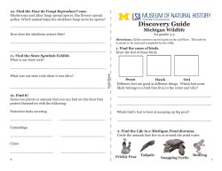 Grades 3-5: Michigan Wildlife