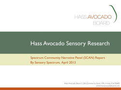 Hass Avocado Sensory Research