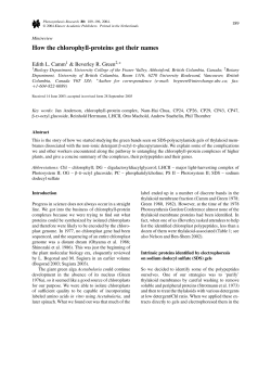 How the chlorophyll-proteins got their names