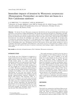 Immediate impacts of invasion by Wasmannia auropunctata