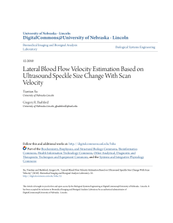 Lateral Blood Flow Velocity Estimation Based on Ultrasound