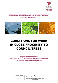 Conditions for excavation near to trees