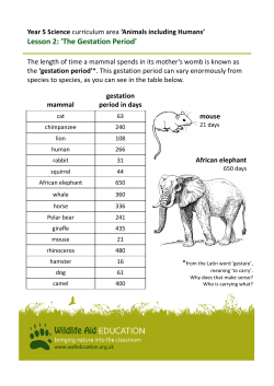 5animals2 gestation periods