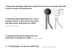 1.Name this molecule which has a polar head and two non