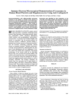 Immuno-Electron Microscopical Demonstration of Lysosomes in