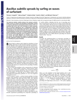 Bacillus subtilis spreads by surfing on waves of surfactant