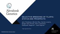 selective breeding of tilapia: status and prospects