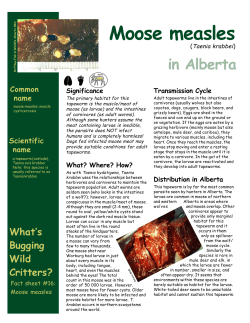 Moose Measles in Alberta - Alberta Environment and Parks