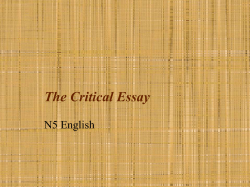 Critical Essay Guidance