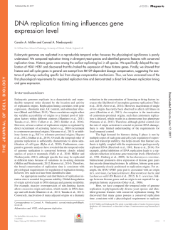 DNA replication timing influences gene expression level