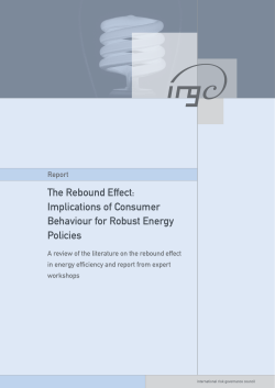 The Rebound Effect